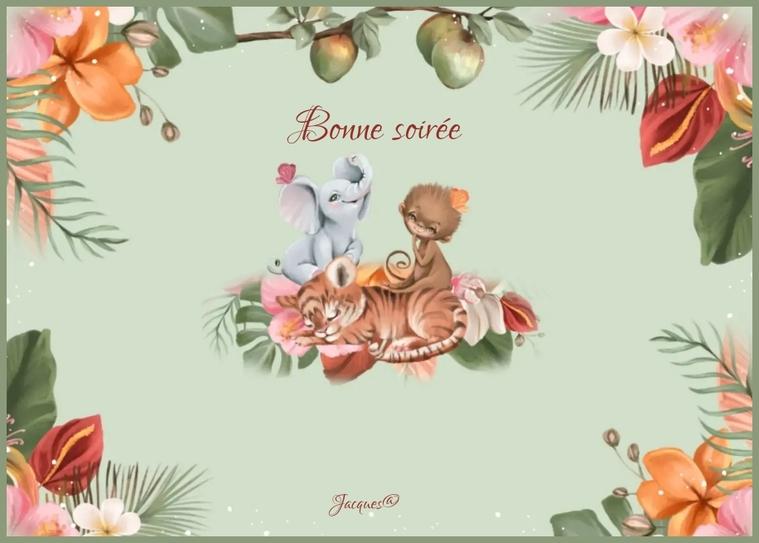 bonne soirée