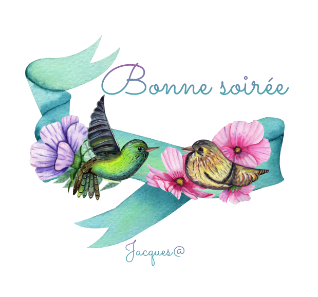 Bonne Soirée et Douce Nuit